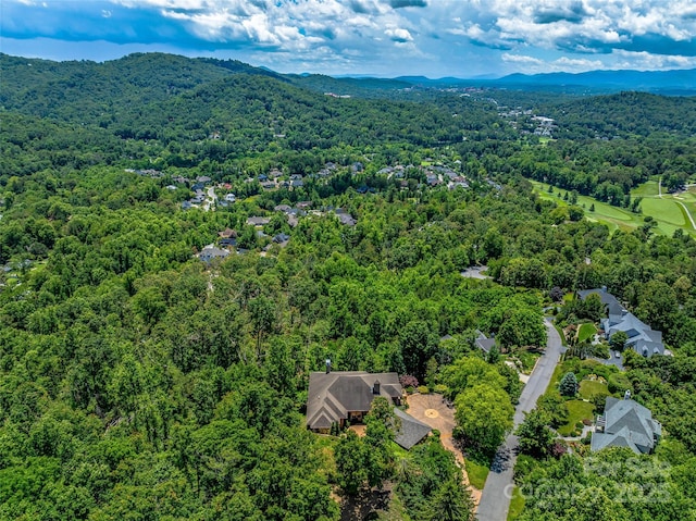 27 Elk Mountain Rdg, Asheville, NC 28804 - photo 3