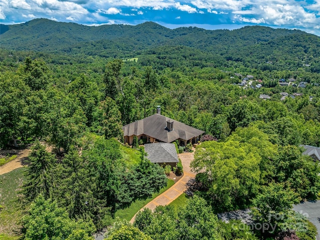 27 Elk Mountain Rdg, Asheville, NC 28804 - photo 4