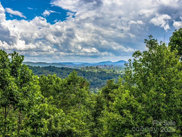 27 Elk Mountain Rdg, Asheville, NC 28804 - photo 18