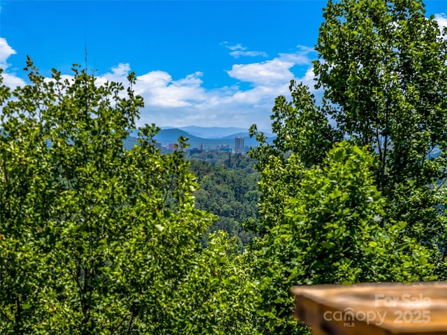 27 Elk Mountain Rdg, Asheville, NC 28804 - photo 19