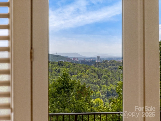 27 Elk Mountain Rdg, Asheville, NC 28804 - photo 32