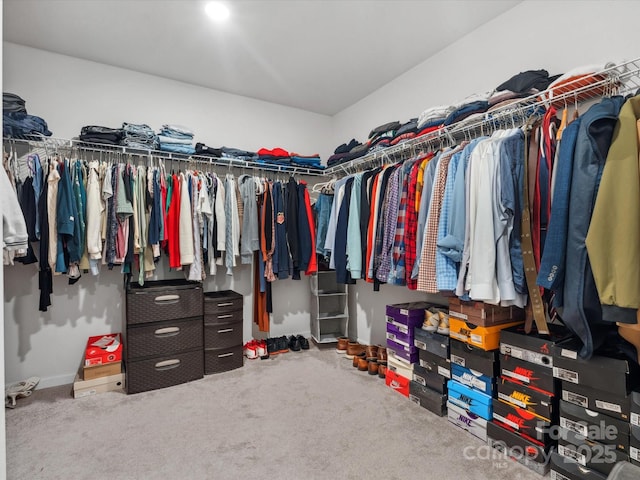 1008 Whipcord Dr, Waxhaw, NC 28173 - spacious closet featuring carpet