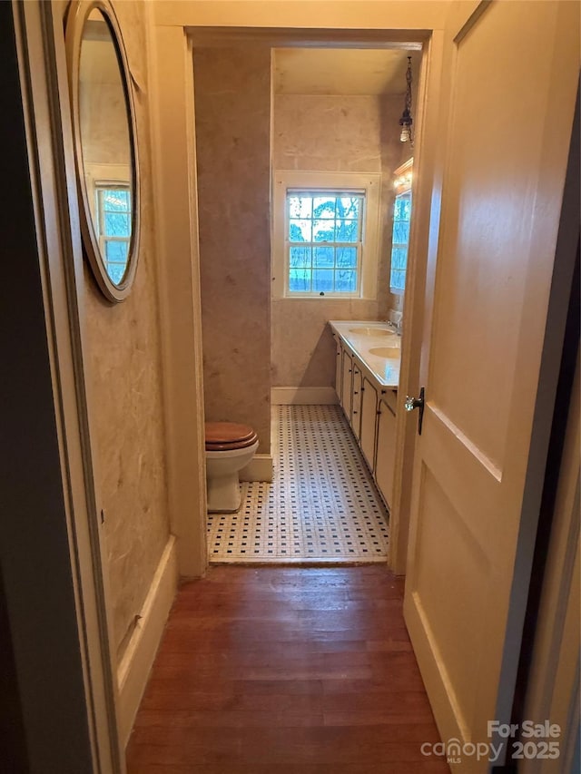 3985 1st Ave SW, Hickory, NC 28602 - bathroom featuring wood finished floors and vanity
