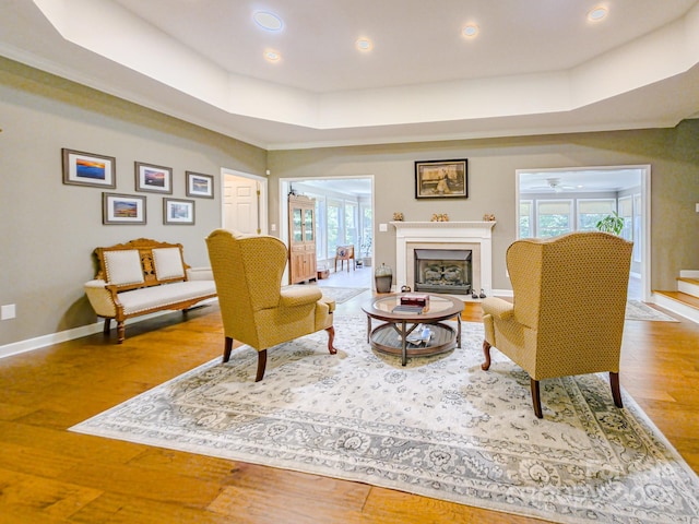 133 Sassafras Hill Dr, Rutherfordton, NC 28139 - living area featuring healthy amount of natural light, wood finished floors, recessed lighting, a fireplace with flush hearth, and a raised ceiling