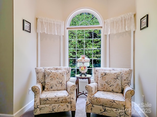 133 Sassafras Hill Dr, Rutherfordton, NC 28139 - sitting room featuring carpet floors and baseboards