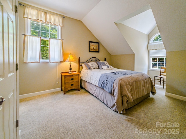 133 Sassafras Hill Dr, Rutherfordton, NC 28139 - carpeted bedroom featuring multiple windows and lofted ceiling