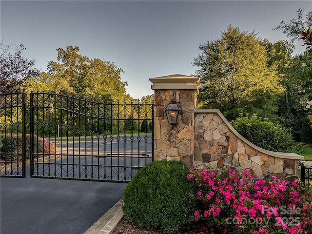 5125 Longbrooke Ct, Indian Land, SC 29707 - photo 2