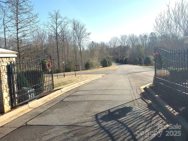 5125 Longbrooke Ct, Indian Land, SC 29707 - photo 4