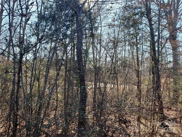 5125 Longbrooke Ct, Indian Land, SC 29707 - photo 14
