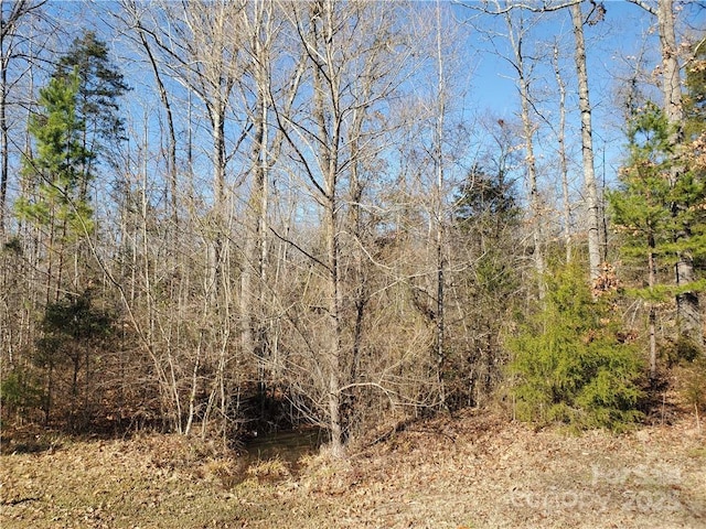5125 Longbrooke Ct, Indian Land, SC 29707 - photo 20