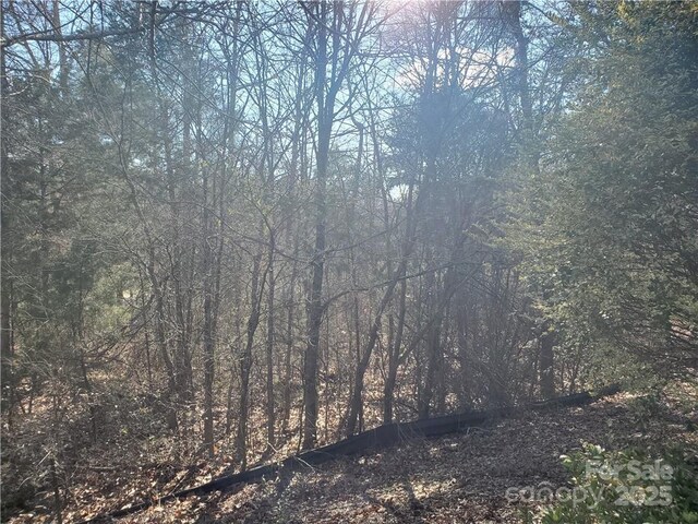 5125 Longbrooke Ct, Indian Land, SC 29707 - photo 21
