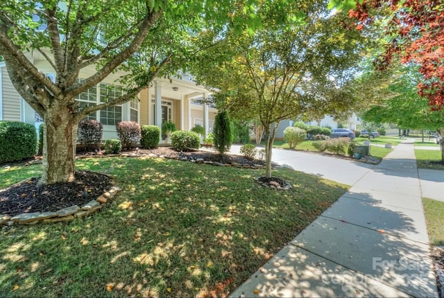17916 Caldwell Track Dr, Cornelius, NC 28031 - photo 3
