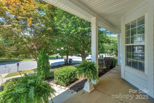 17916 Caldwell Track Dr, Cornelius, NC 28031 - photo 4