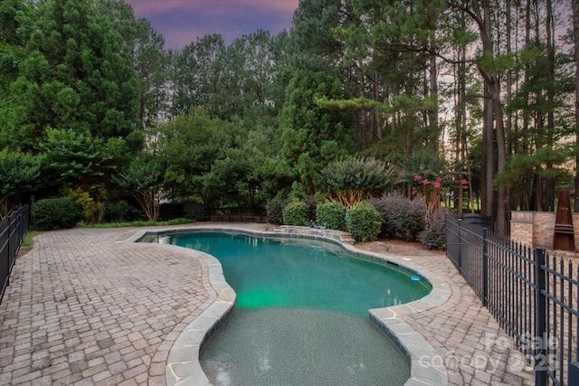9110 Woodhall Lake Dr, Waxhaw, NC 28173 - pool at dusk featuring a patio