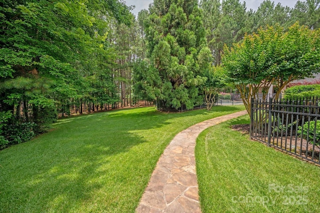 9110 Woodhall Lake Dr, Waxhaw, NC 28173 - view of yard