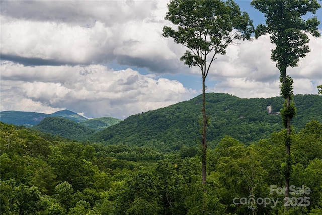 48 Falling Leaves Ln, Hendersonville, NC 28792 - view of mountain background featuring a heavily wooded area