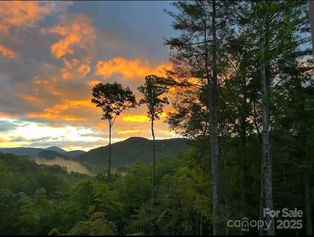 48 Falling Leaves Ln, Hendersonville, NC 28792 - view of mountain backdrop featuring a forest