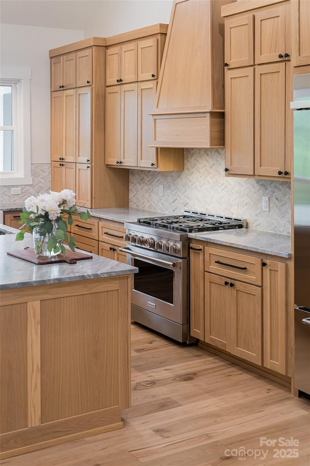 48 Falling Leaves Ln, Hendersonville, NC 28792 - kitchen featuring high quality appliances, premium range hood, light wood-style floors, decorative backsplash, and light stone countertops