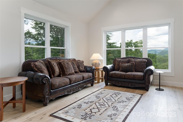 48 Falling Leaves Ln, Hendersonville, NC 28792 - living room with wood finished floors, healthy amount of natural light, and vaulted ceiling
