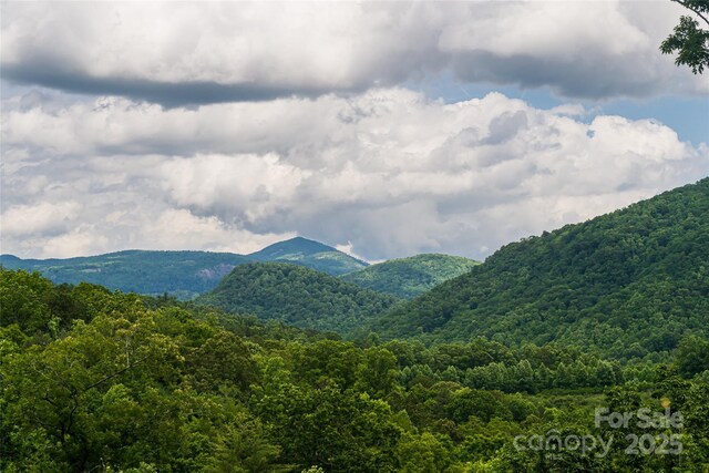 48 Falling Leaves Ln, Hendersonville, NC 28792 - mountain view featuring a heavily wooded area