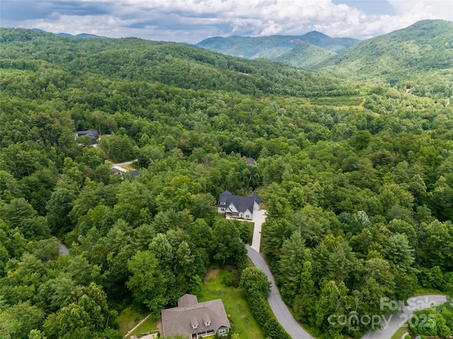 48 Falling Leaves Ln, Hendersonville, NC 28792 - bird's eye view of a heavily wooded area and a mountain backdrop