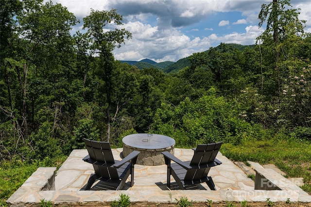 48 Falling Leaves Ln, Hendersonville, NC 28792 - mountain view with a heavily wooded area