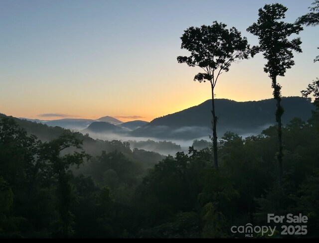 48 Falling Leaves Ln, Hendersonville, NC 28792 - mountain view featuring a heavily wooded area