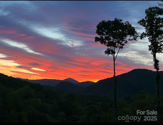48 Falling Leaves Ln, Hendersonville, NC 28792 - mountain view