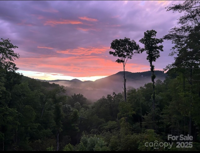 48 Falling Leaves Ln, Hendersonville, NC 28792 - view of mountain backdrop with a heavily wooded area