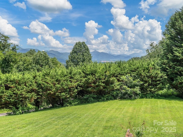 657 Evergreen Farm Cir, Waynesville, NC 28786 - photo 11