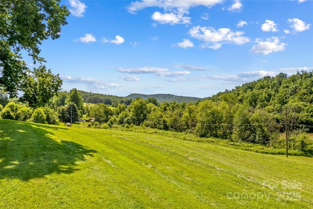1043 Linneys Mill Rd, Union Grove, NC 28689 - photo 35