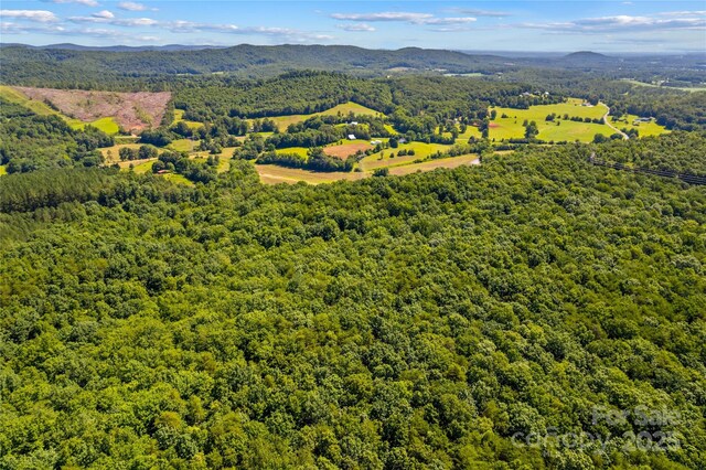 1043 Linneys Mill Rd, Union Grove, NC 28689 - photo 43