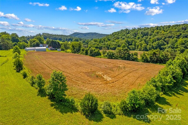 1043 Linneys Mill Rd, Union Grove, NC 28689 - photo 46