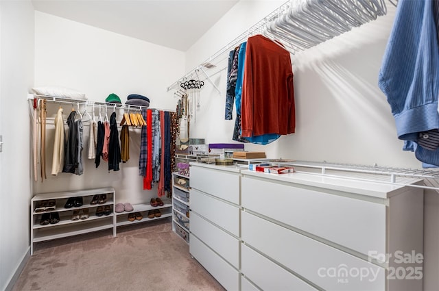 11225 Black Brant Ln, Charlotte, NC 28278 - spacious closet with light carpet