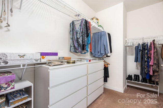 11225 Black Brant Ln, Charlotte, NC 28278 - spacious closet with light colored carpet
