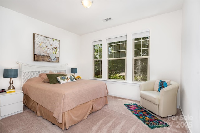 11225 Black Brant Ln, Charlotte, NC 28278 - bedroom with light carpet