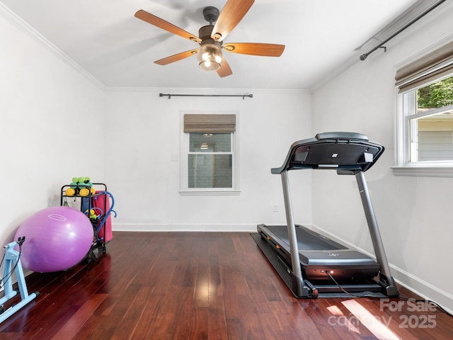 4618 Emory Ln, Charlotte, NC 28211 - exercise room featuring ceiling fan, wood finished floors, and crown molding
