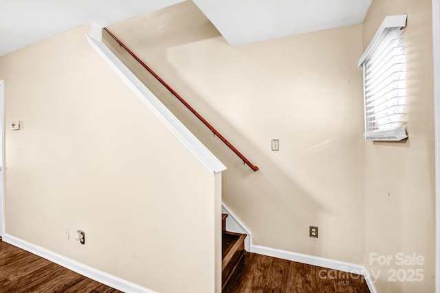 4412 Trillium Fields Dr, Charlotte, NC 28269 - photo 8