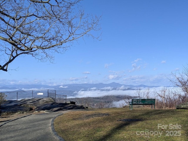 520 Valley St, Hendersonville, NC 28739 - photo 44