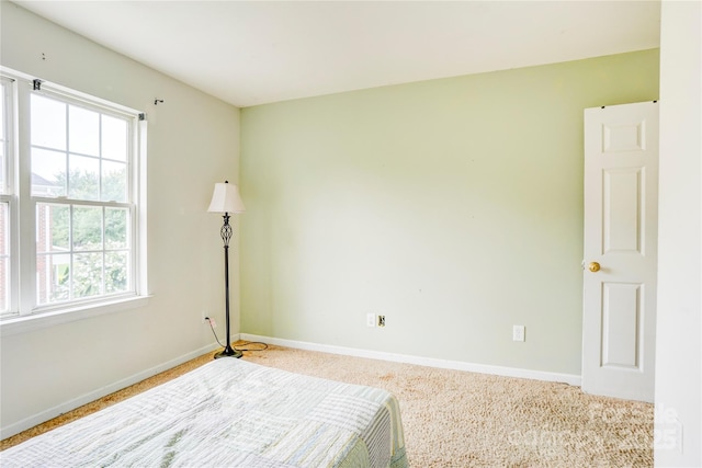 7786 Windsor Forest Pl, Harrisburg, NC 28075 - photo 11