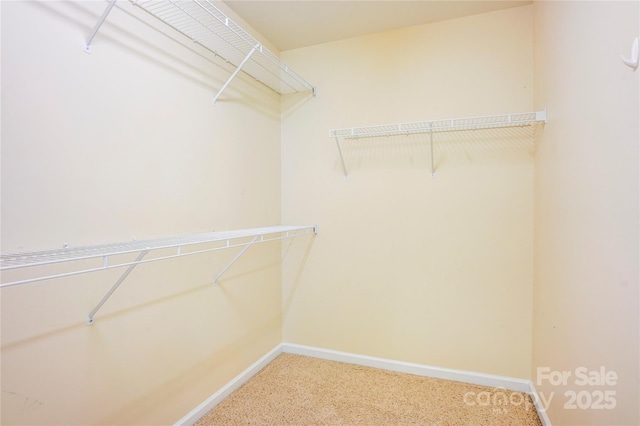 7786 Windsor Forest Pl, Harrisburg, NC 28075 - photo 20