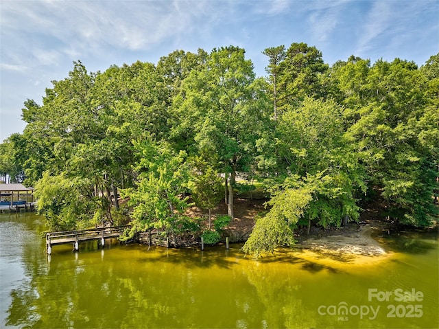 5390 Hudson Rd, Lake Wylie, SC 29710 - photo 8