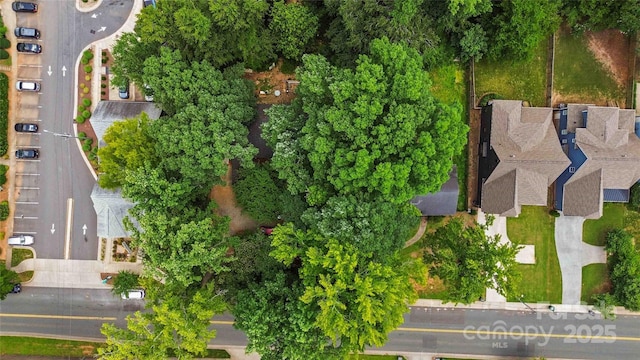 2937 Commonwealth Ave, Charlotte, NC 28205 - photo 5