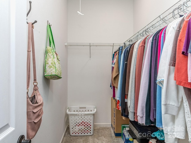 15739 Circlegreen Dr, Charlotte, NC 28273 - walk in closet with carpet flooring