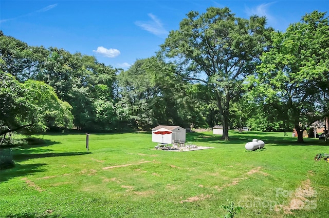 113 N Academy St, Mooresboro, NC 28114 - view of grassy yard featuring a storage shed