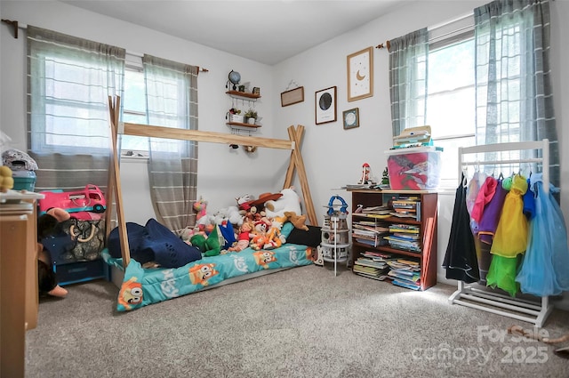 113 N Academy St, Mooresboro, NC 28114 - playroom with carpet floors