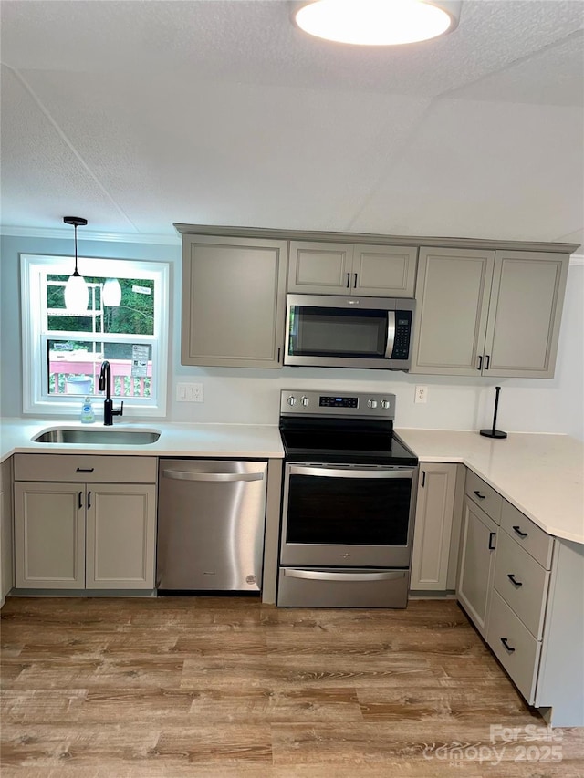 6517 Helens Way, Denver, NC 28037 - kitchen with stainless steel appliances, gray cabinets, light wood-style flooring, light countertops, and a textured ceiling