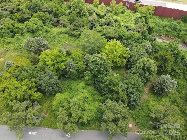 920 Andrill Ter, Charlotte, NC 28269 - photo 5