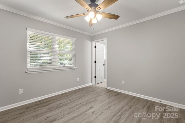 6515 Santa Cruz Trl, Charlotte, NC 28227 - photo 25