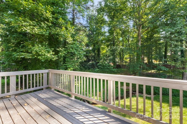 6515 Santa Cruz Trl, Charlotte, NC 28227 - photo 30